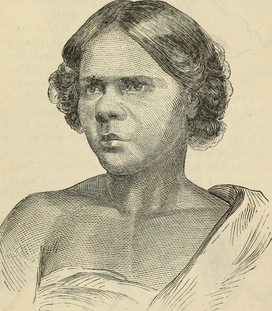 An illustration from New Physiognomy : or signs of character, as manifested through temperament and external forms, and especially in the "the human face divine.", 1889, leaf 484