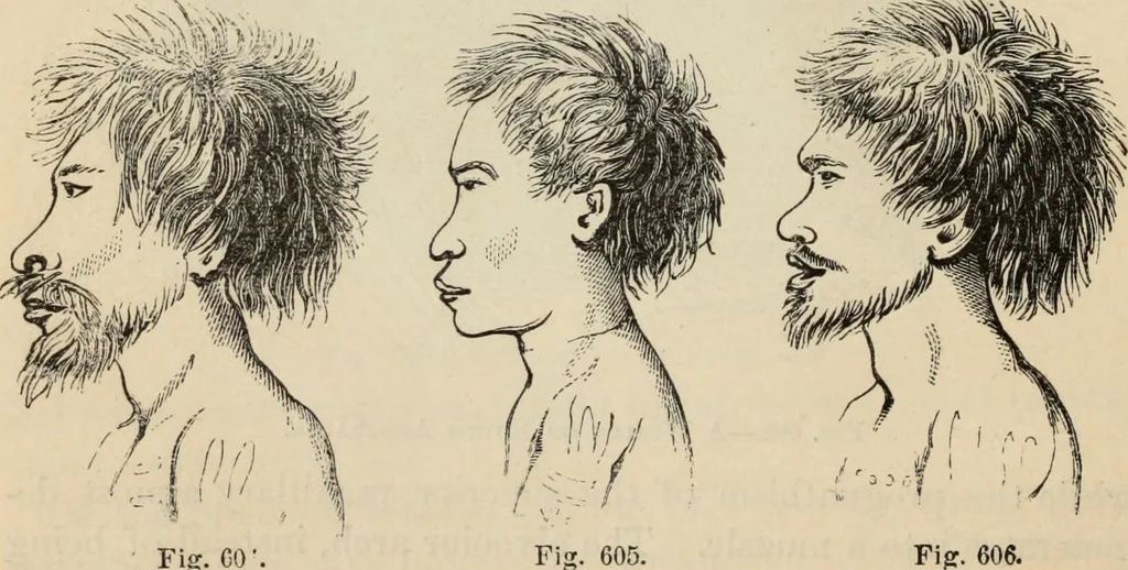 An illustration from New Physiognomy : or signs of character, as manifested through temperament and external forms, and especially in the "the human face divine.", 1889, leaf 485