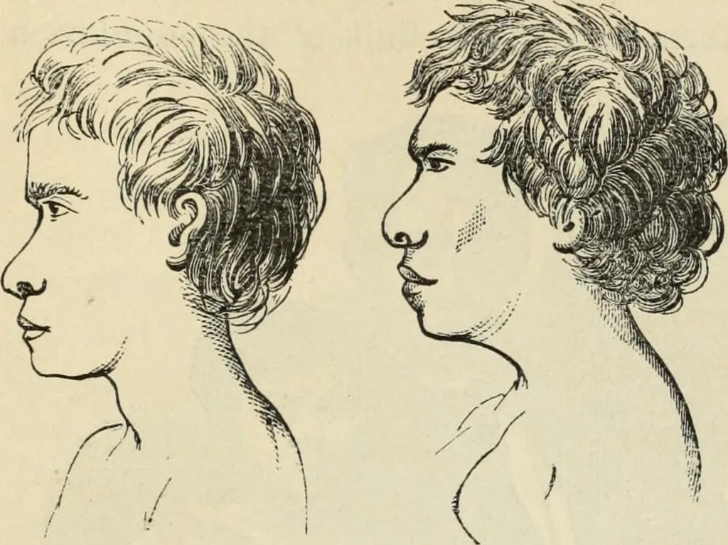An illustration from New Physiognomy : or signs of character, as manifested through temperament and external forms, and especially in the "the human face divine.", 1889, leaf 486