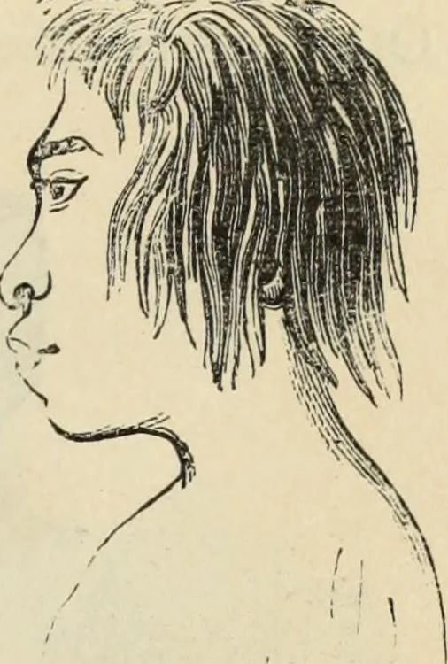 An illustration from New Physiognomy : or signs of character, as manifested through temperament and external forms, and especially in the "the human face divine.", 1889, leaf 486