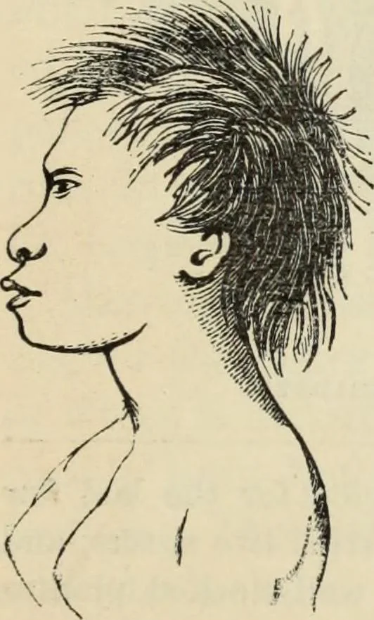 An illustration from New Physiognomy : or signs of character, as manifested through temperament and external forms, and especially in the "the human face divine.", 1889, leaf 486