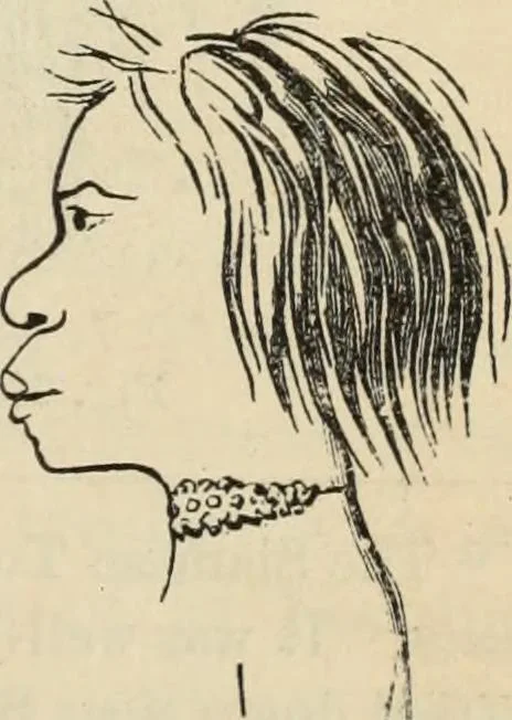 An illustration from New Physiognomy : or signs of character, as manifested through temperament and external forms, and especially in the "the human face divine.", 1889, leaf 486