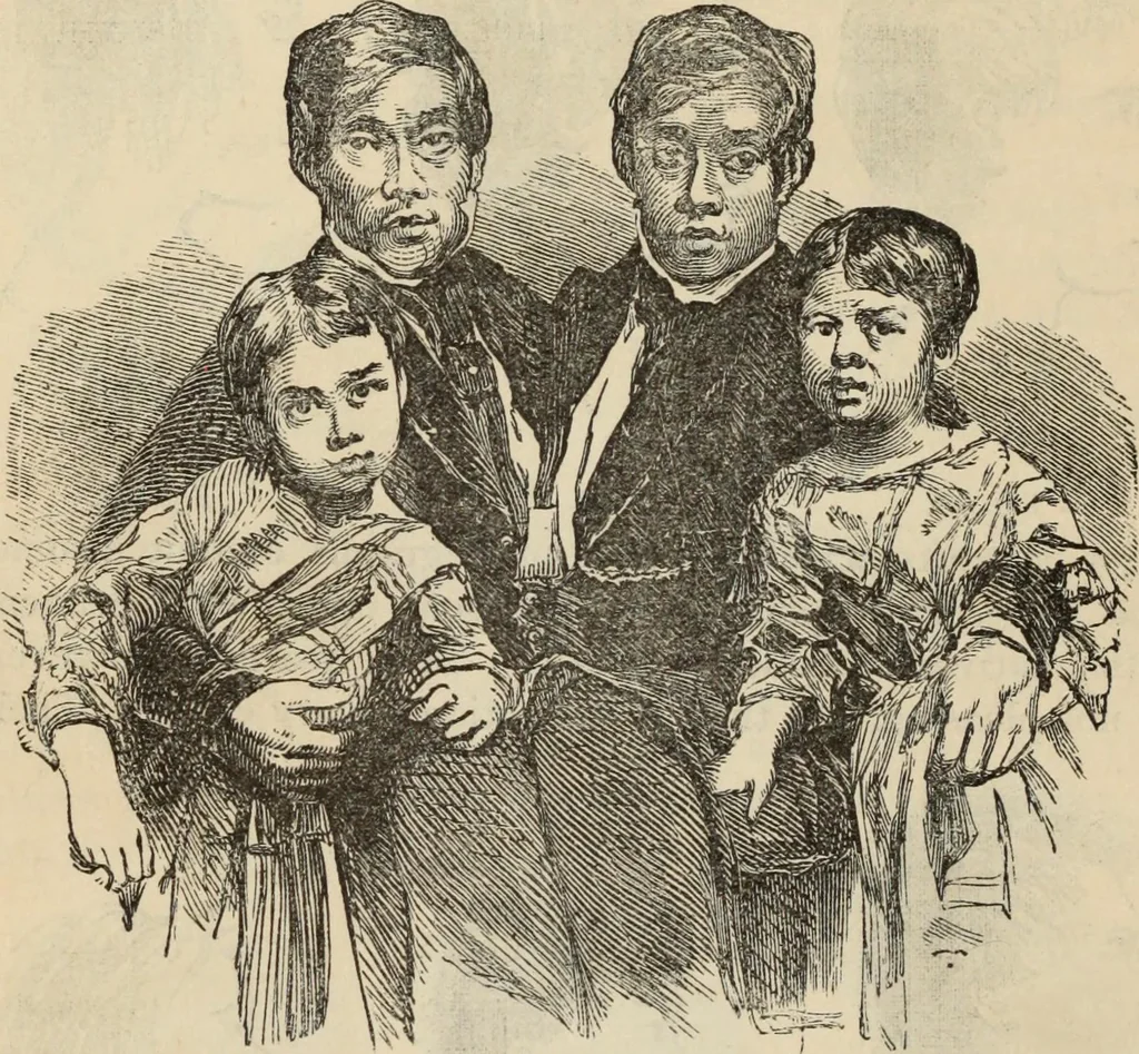 An illustration from New Physiognomy : or signs of character, as manifested through temperament and external forms, and especially in the "the human face divine.", 1889, leaf 487