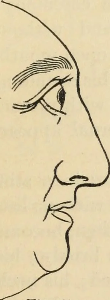 An illustration from New Physiognomy : or signs of character, as manifested through temperament and external forms, and especially in the "the human face divine.", 1889, leaf 50