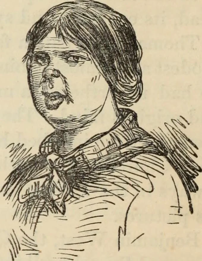 An illustration from New Physiognomy : or signs of character, as manifested through temperament and external forms, and especially in the "the human face divine.", 1889, leaf 543