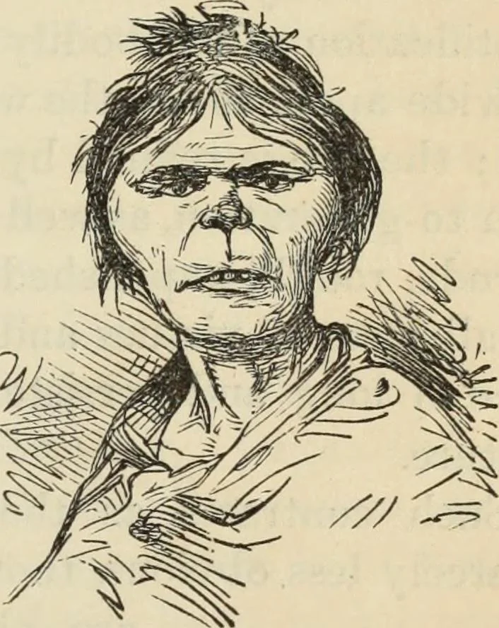 An illustration from New Physiognomy : or signs of character, as manifested through temperament and external forms, and especially in the "the human face divine.", 1889, leaf 544
