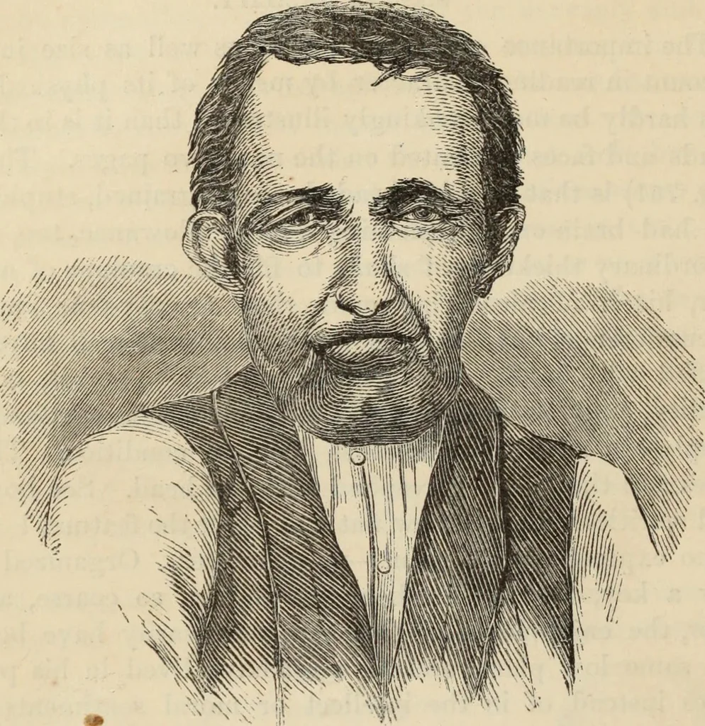 An illustration from New Physiognomy : or signs of character, as manifested through temperament and external forms, and especially in the "the human face divine.", 1889, leaf 547