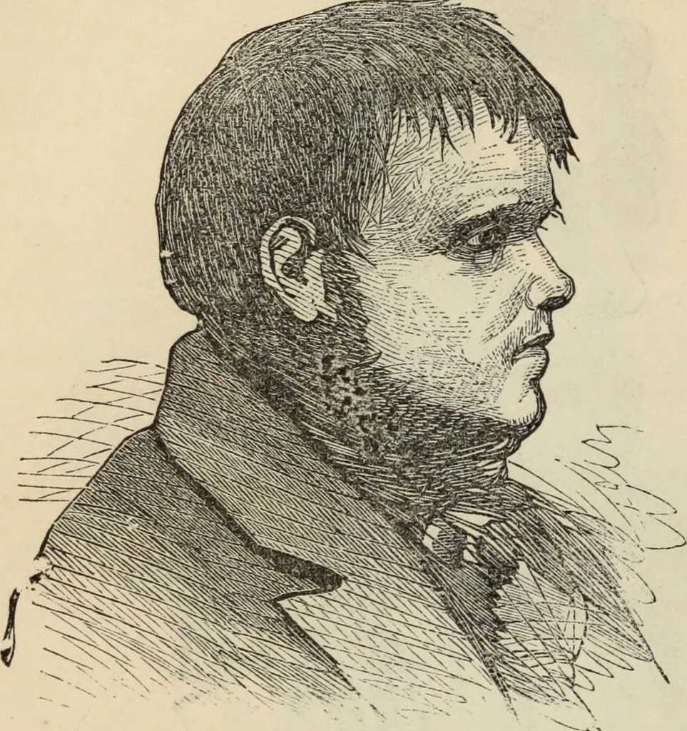 An illustration from New Physiognomy : or signs of character, as manifested through temperament and external forms, and especially in the "the human face divine.", 1889, leaf 549