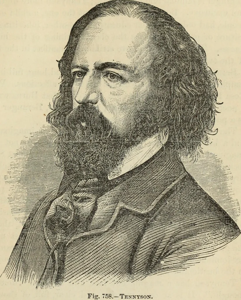 An illustration from New Physiognomy : or signs of character, as manifested through temperament and external forms, and especially in the "the human face divine.", 1889, leaf 554