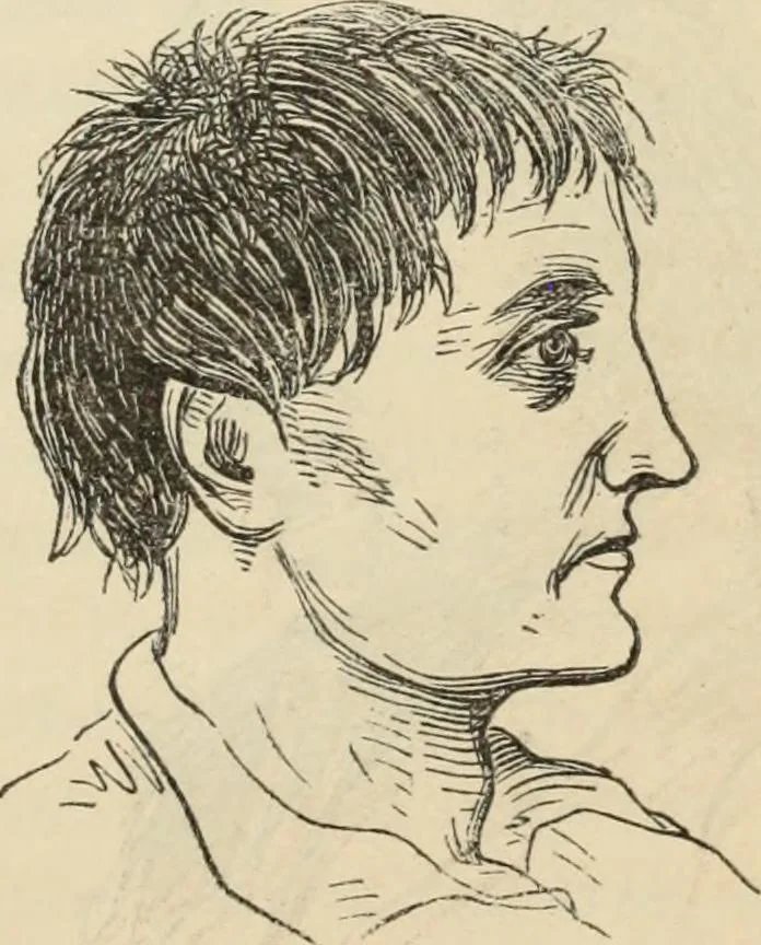 An illustration from New Physiognomy : or signs of character, as manifested through temperament and external forms, and especially in the "the human face divine.", 1889, leaf 560