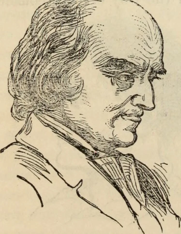 An illustration from New Physiognomy : or signs of character, as manifested through temperament and external forms, and especially in the "the human face divine.", 1889, leaf 561