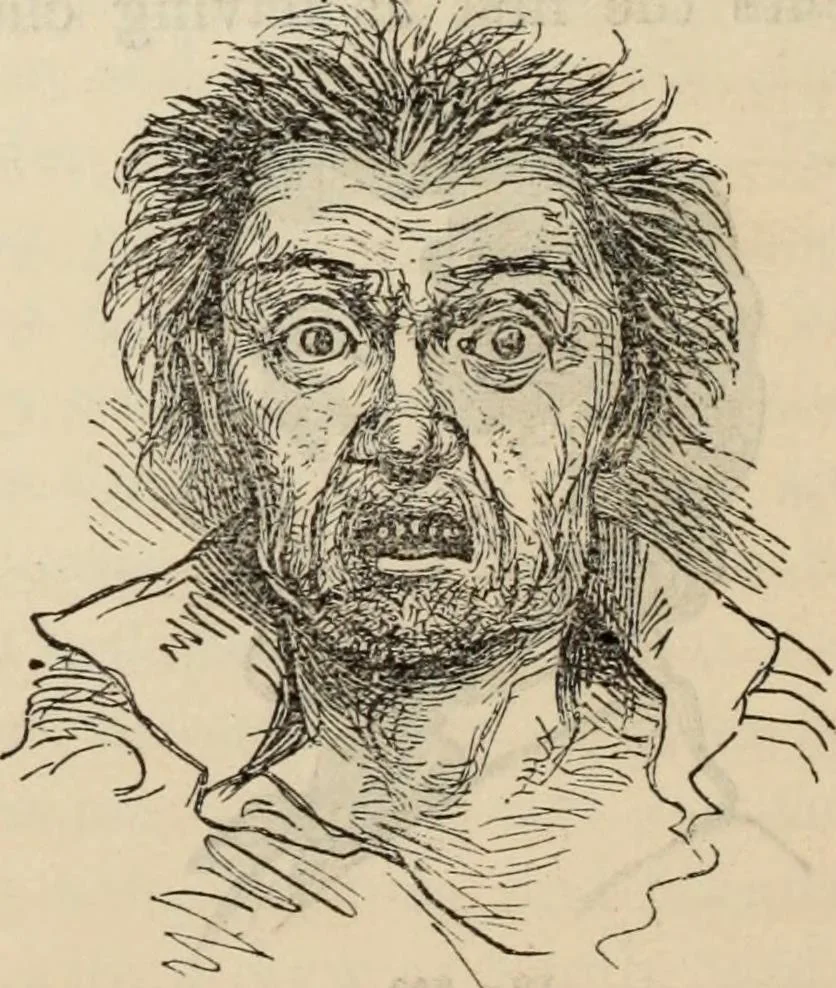 An illustration from New Physiognomy : or signs of character, as manifested through temperament and external forms, and especially in the "the human face divine.", 1889, leaf 561