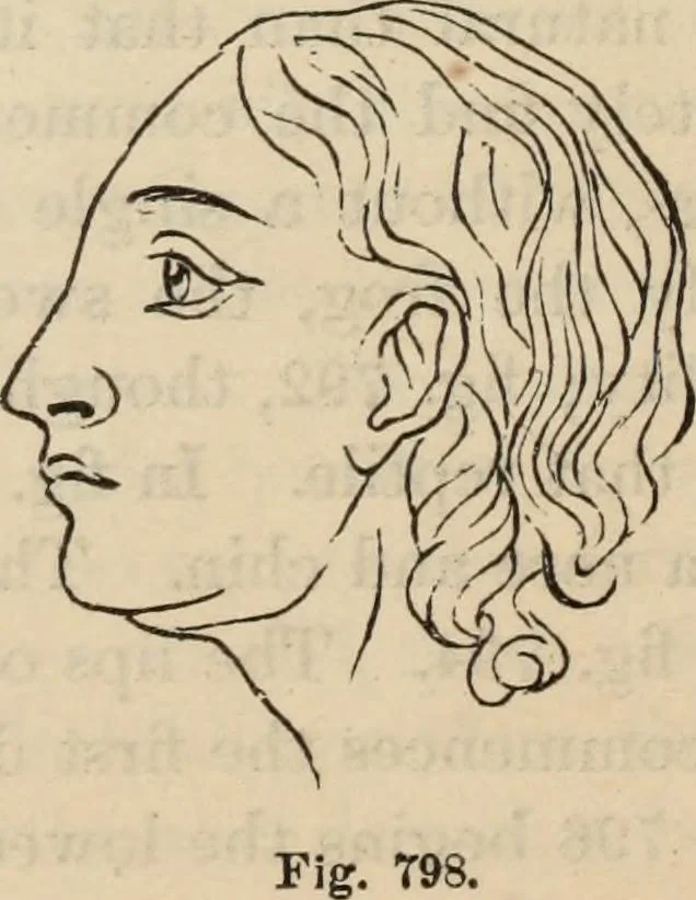 An illustration from New Physiognomy : or signs of character, as manifested through temperament and external forms, and especially in the "the human face divine.", 1889, leaf 593