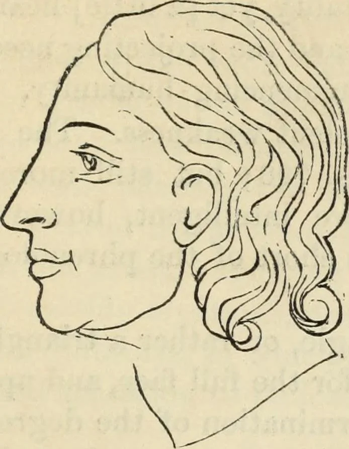 An illustration from New Physiognomy : or signs of character, as manifested through temperament and external forms, and especially in the "the human face divine.", 1889, leaf 594