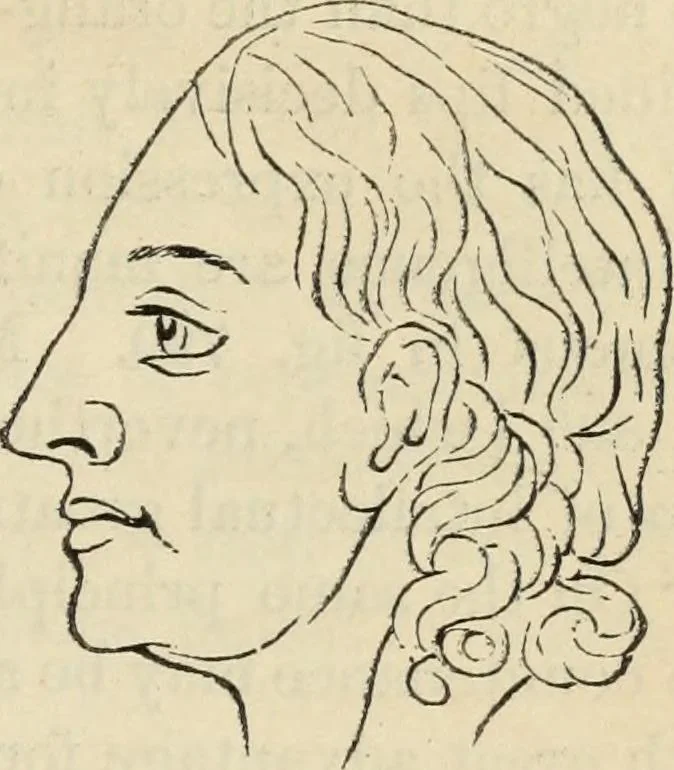 An illustration from New Physiognomy : or signs of character, as manifested through temperament and external forms, and especially in the "the human face divine.", 1889, leaf 594