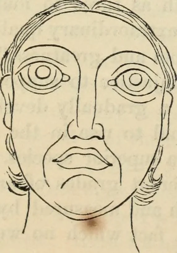 An illustration from New Physiognomy : or signs of character, as manifested through temperament and external forms, and especially in the "the human face divine.", 1889, leaf 594