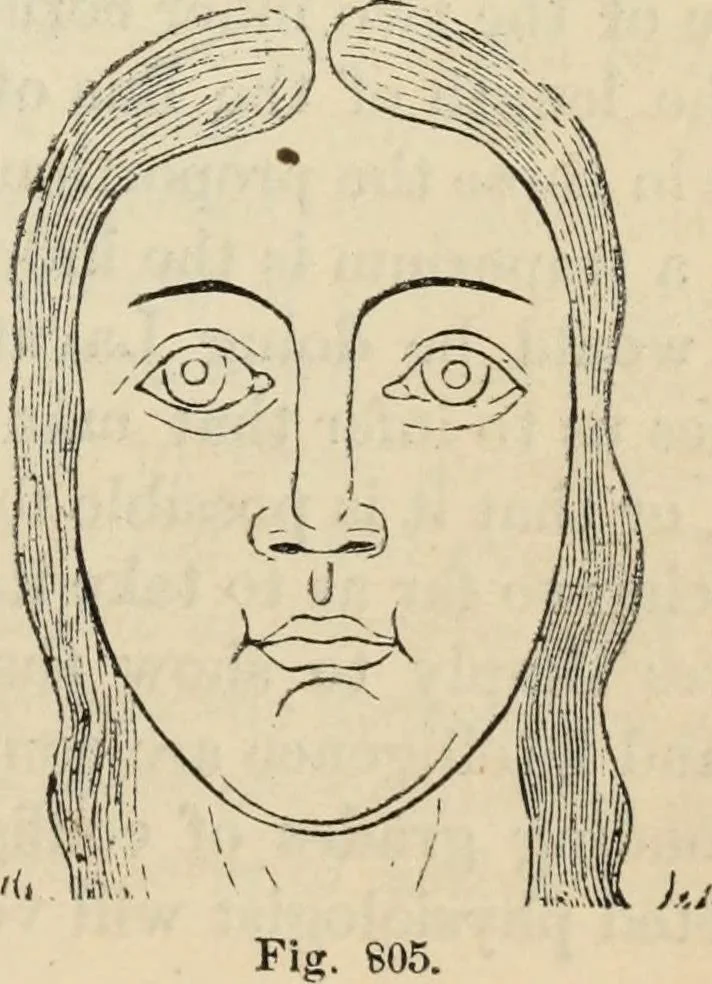 An illustration from New Physiognomy : or signs of character, as manifested through temperament and external forms, and especially in the "the human face divine.", 1889, leaf 594