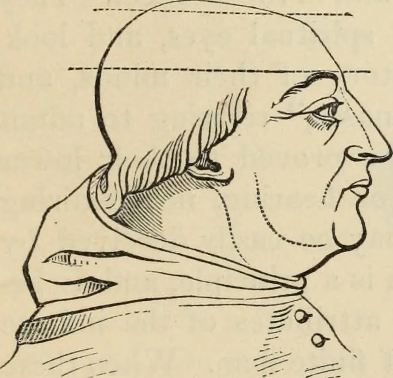 An illustration from New Physiognomy : or signs of character, as manifested through temperament and external forms, and especially in the "the human face divine.", 1889, leaf 608
