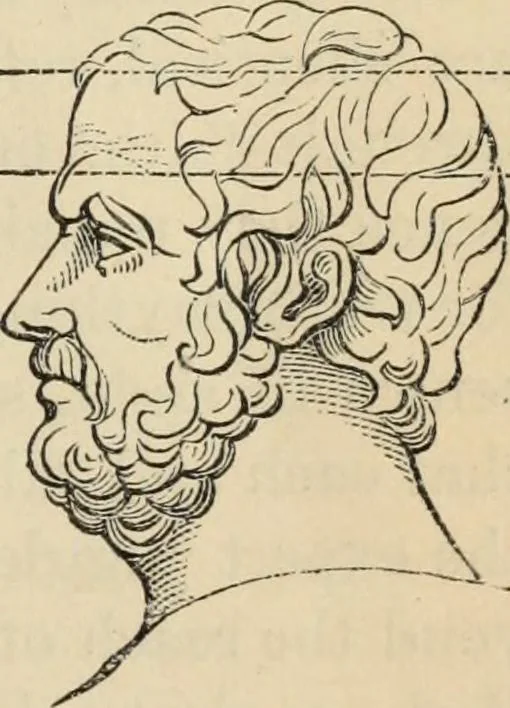 An illustration from New Physiognomy : or signs of character, as manifested through temperament and external forms, and especially in the "the human face divine.", 1889, leaf 608