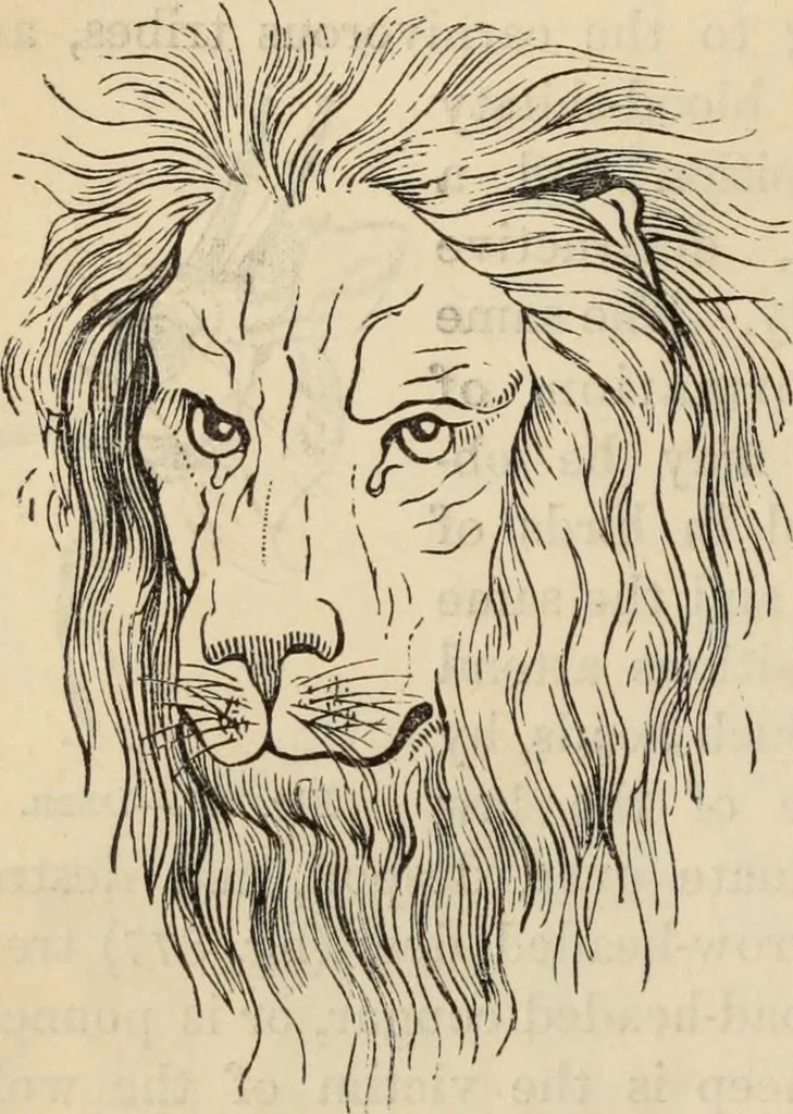 An illustration from New Physiognomy : or signs of character, as manifested through temperament and external forms, and especially in the "the human face divine.", 1889, leaf 613