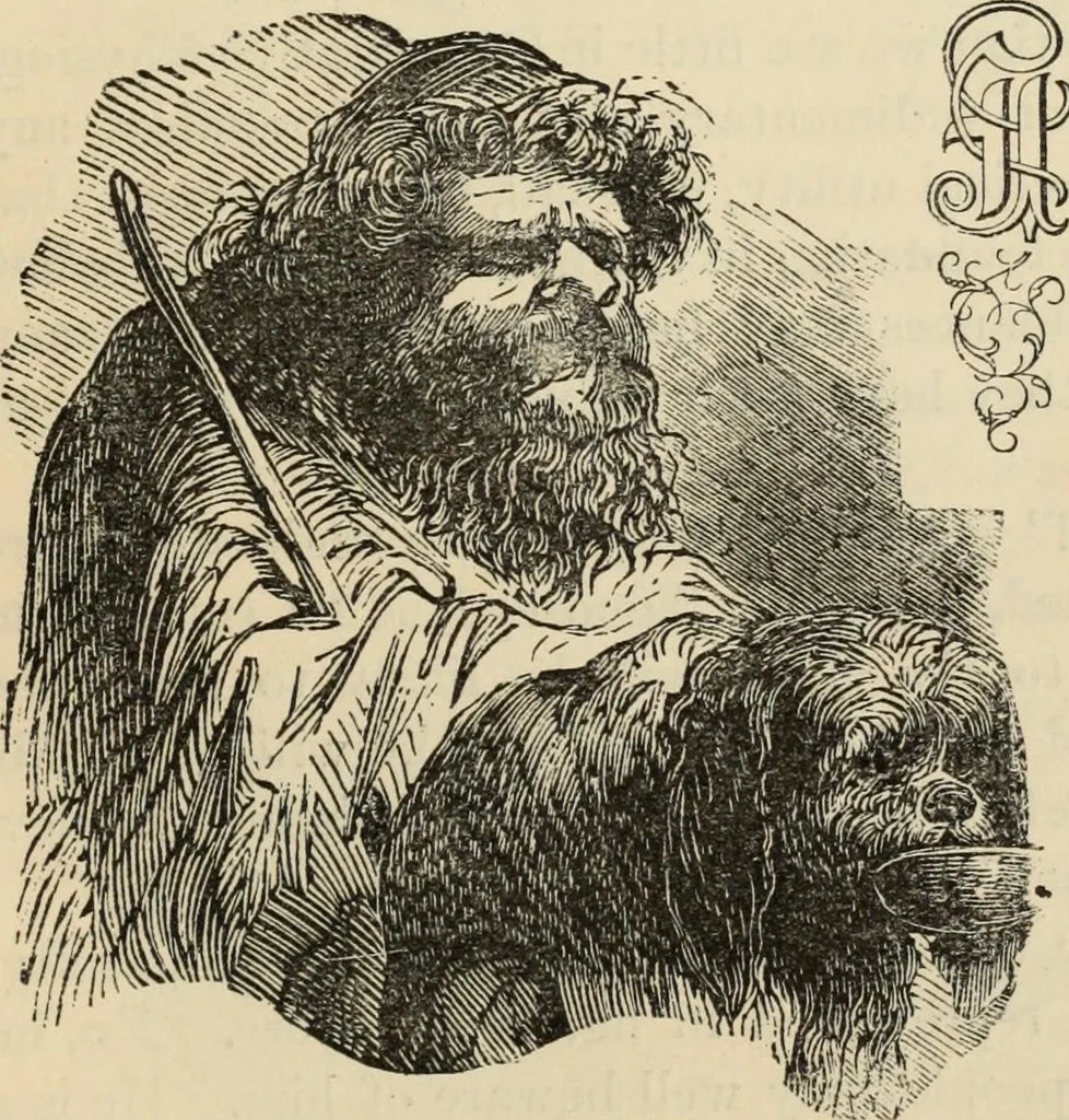 An illustration from New Physiognomy : or signs of character, as manifested through temperament and external forms, and especially in the "the human face divine.", 1889, leaf 620