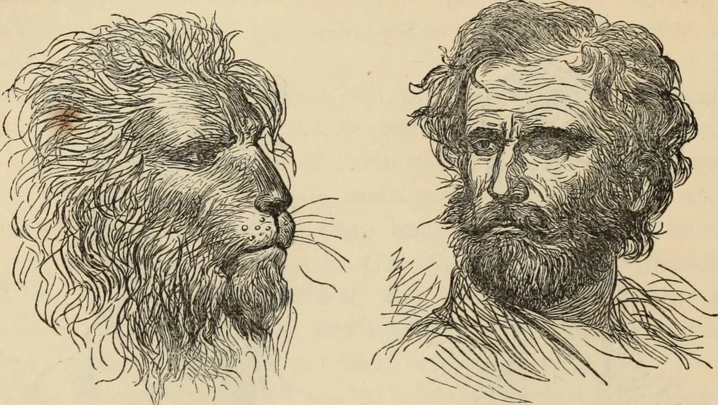 An illustration from New Physiognomy : or signs of character, as manifested through temperament and external forms, and especially in the "the human face divine.", 1889, leaf 623