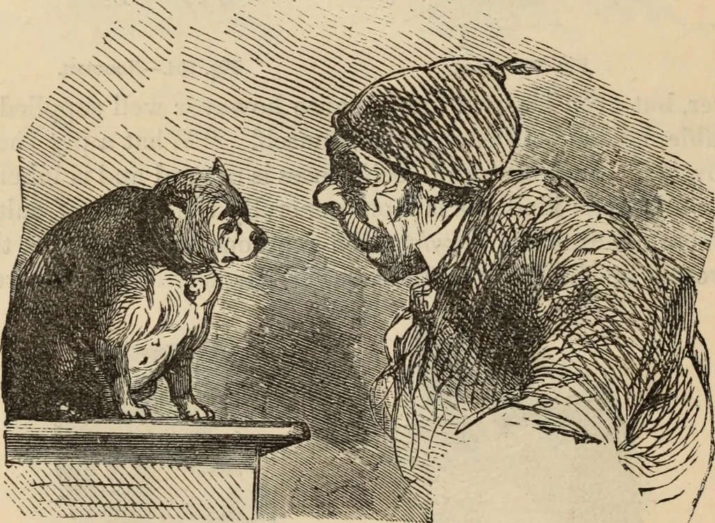 An illustration from New Physiognomy : or signs of character, as manifested through temperament and external forms, and especially in the "the human face divine.", 1889, leaf 625