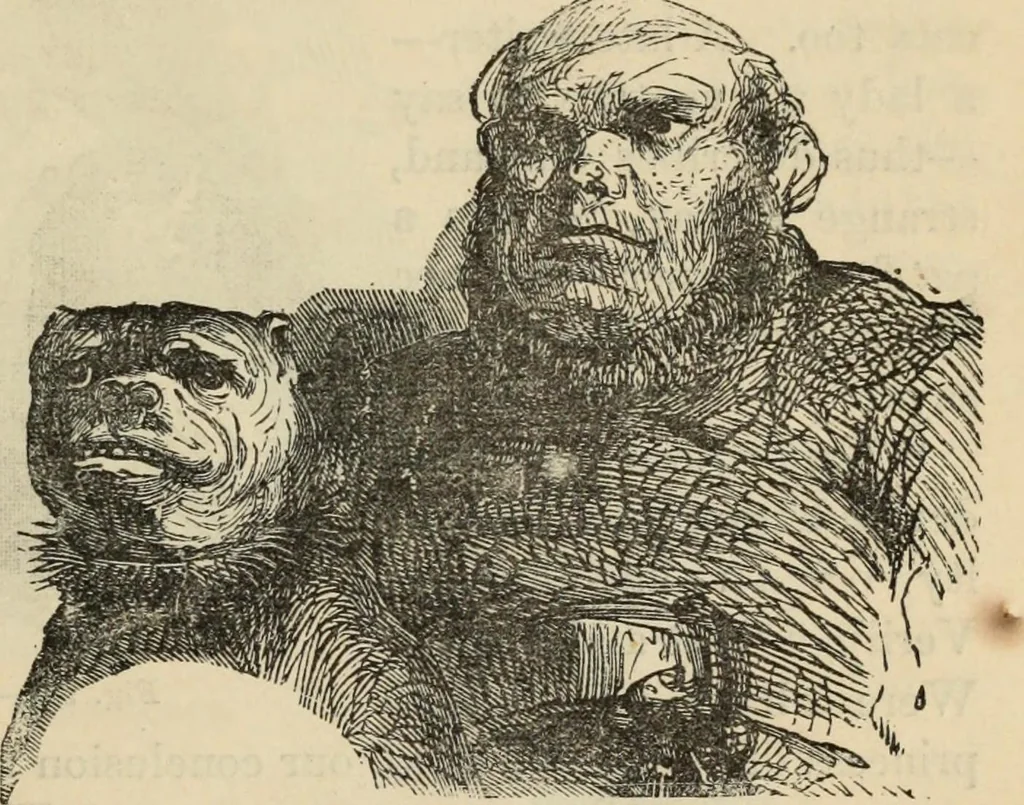 An illustration from New Physiognomy : or signs of character, as manifested through temperament and external forms, and especially in the "the human face divine.", 1889, leaf 626