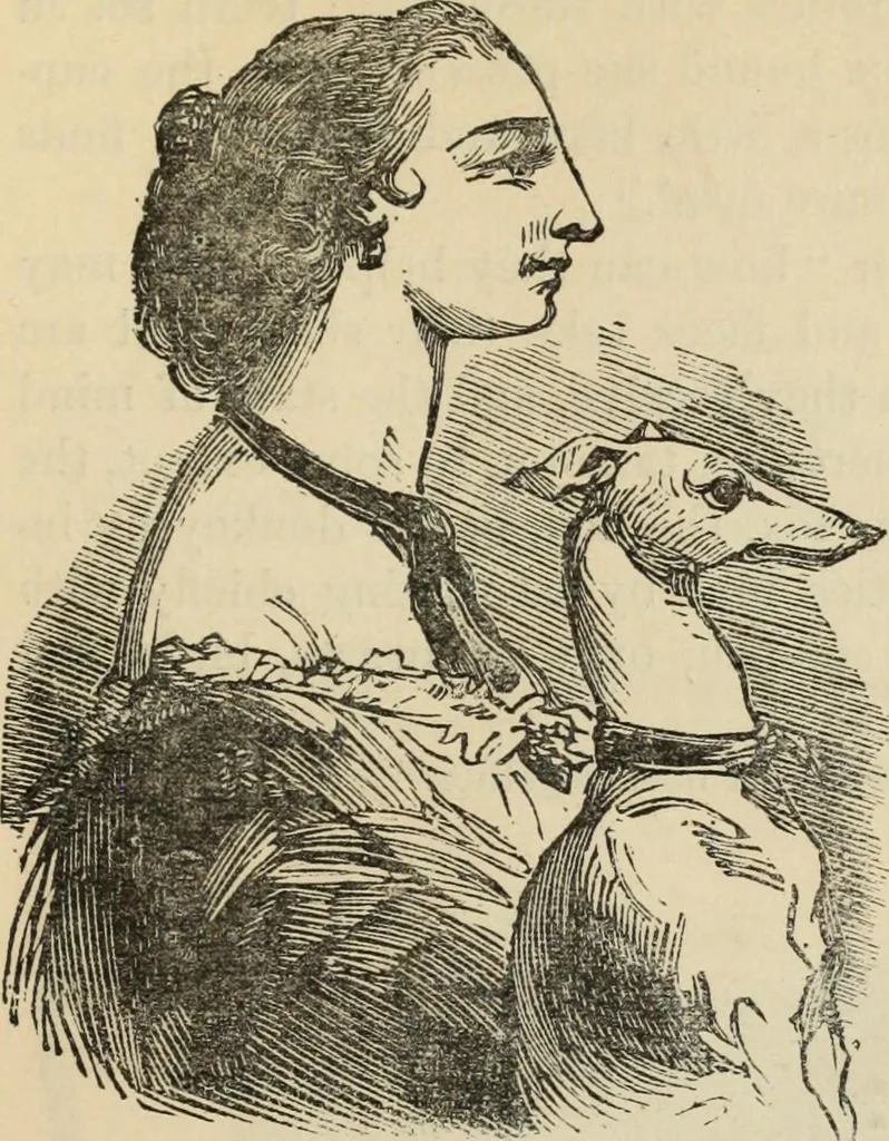 An illustration from New Physiognomy : or signs of character, as manifested through temperament and external forms, and especially in the "the human face divine.", 1889, leaf 628