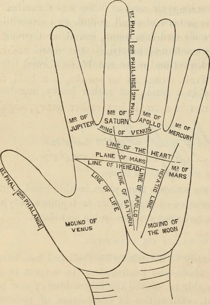 An illustration from New Physiognomy : or signs of character, as manifested through temperament and external forms, and especially in the "the human face divine.", 1889, leaf 641