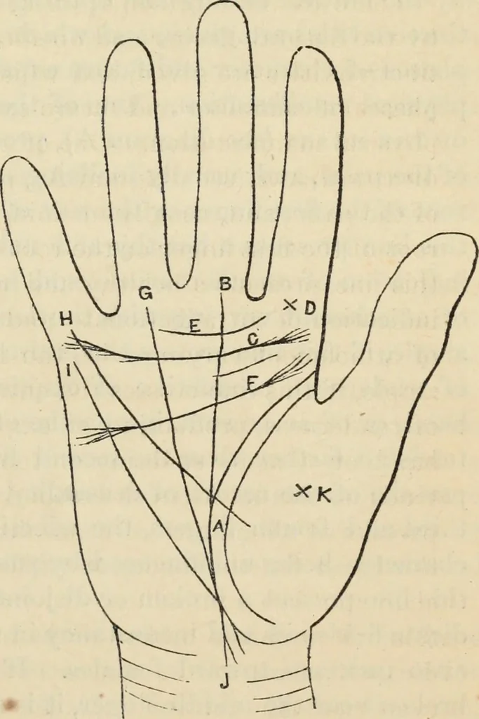 An illustration from New Physiognomy : or signs of character, as manifested through temperament and external forms, and especially in the "the human face divine.", 1889, leaf 642