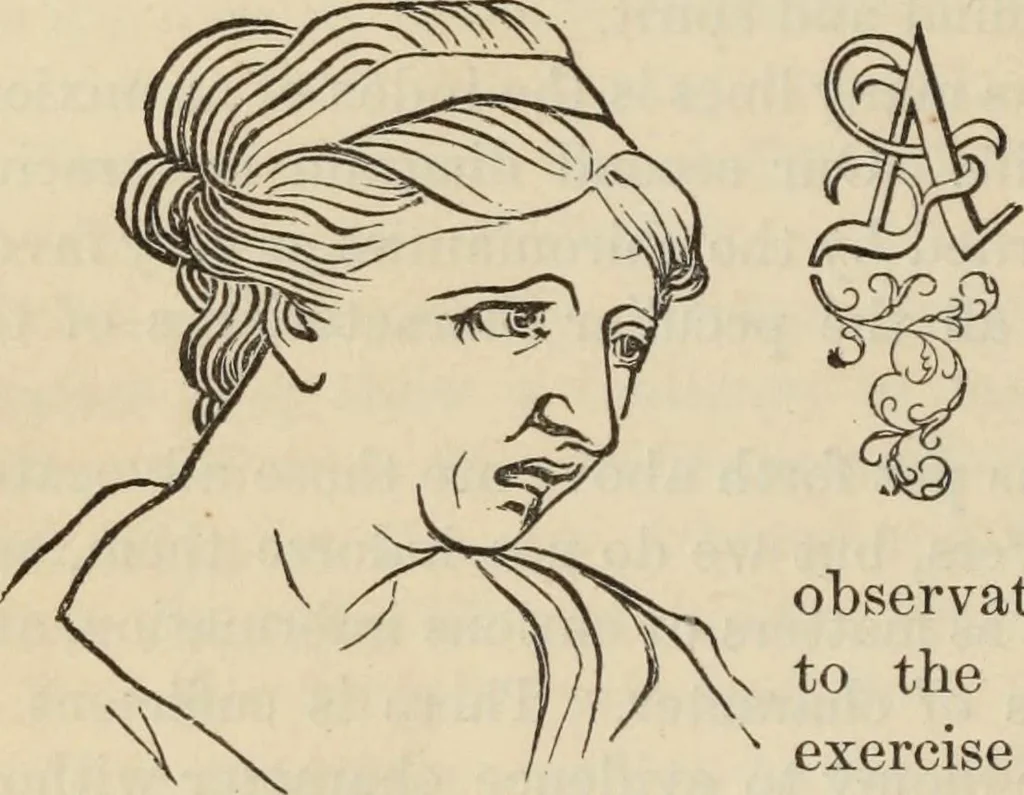 An illustration from New Physiognomy : or signs of character, as manifested through temperament and external forms, and especially in the "the human face divine.", 1889, leaf 649