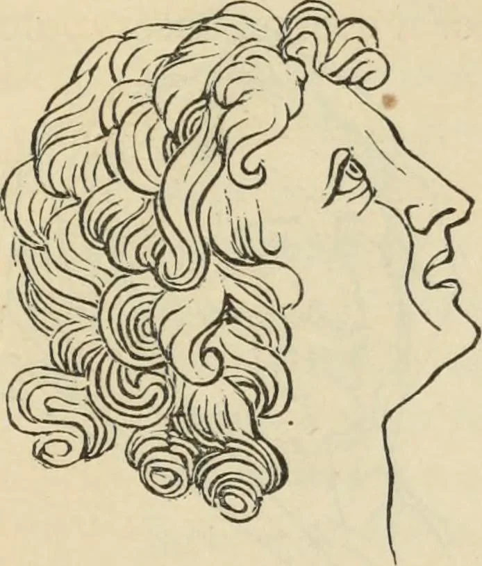 An illustration from New Physiognomy : or signs of character, as manifested through temperament and external forms, and especially in the "the human face divine.", 1889, leaf 650
