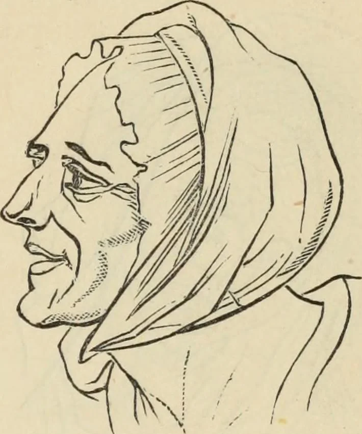An illustration from New Physiognomy : or signs of character, as manifested through temperament and external forms, and especially in the "the human face divine.", 1889, leaf 650