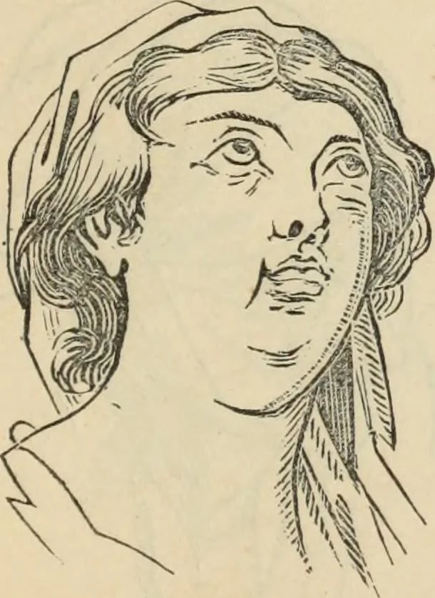 An illustration from New Physiognomy : or signs of character, as manifested through temperament and external forms, and especially in the "the human face divine.", 1889, leaf 650