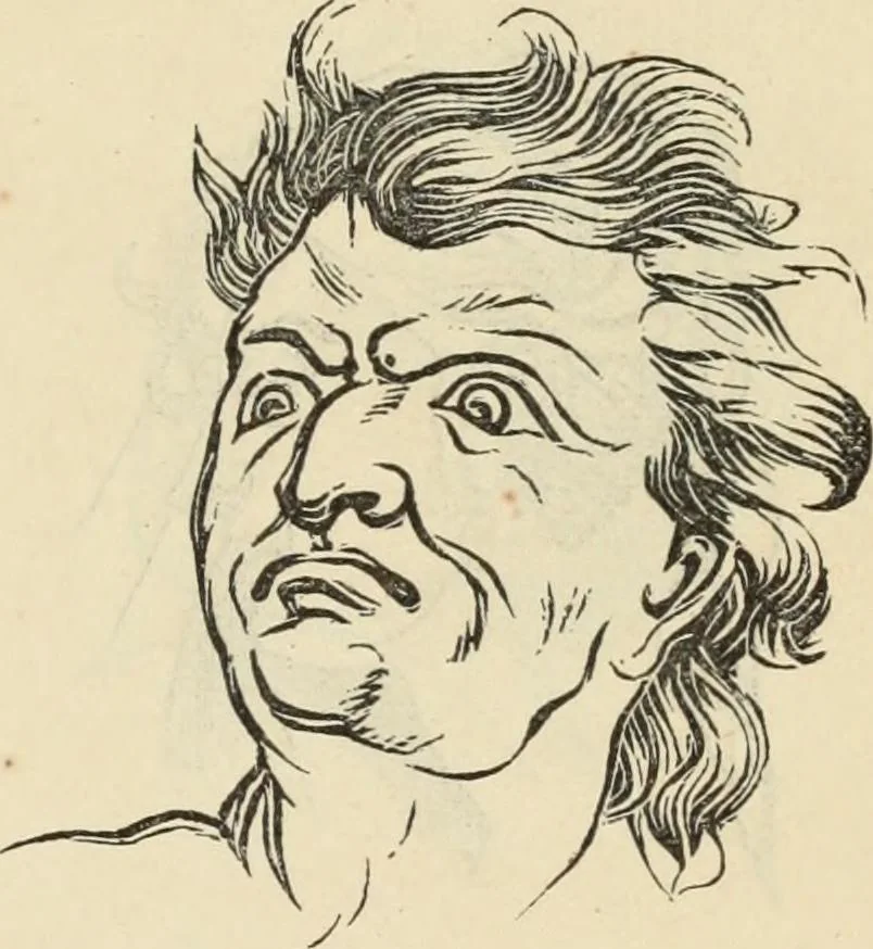 An illustration from New Physiognomy : or signs of character, as manifested through temperament and external forms, and especially in the "the human face divine.", 1889, leaf 652