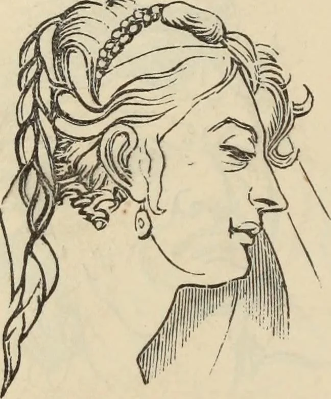 An illustration from New Physiognomy : or signs of character, as manifested through temperament and external forms, and especially in the "the human face divine.", 1889, leaf 653