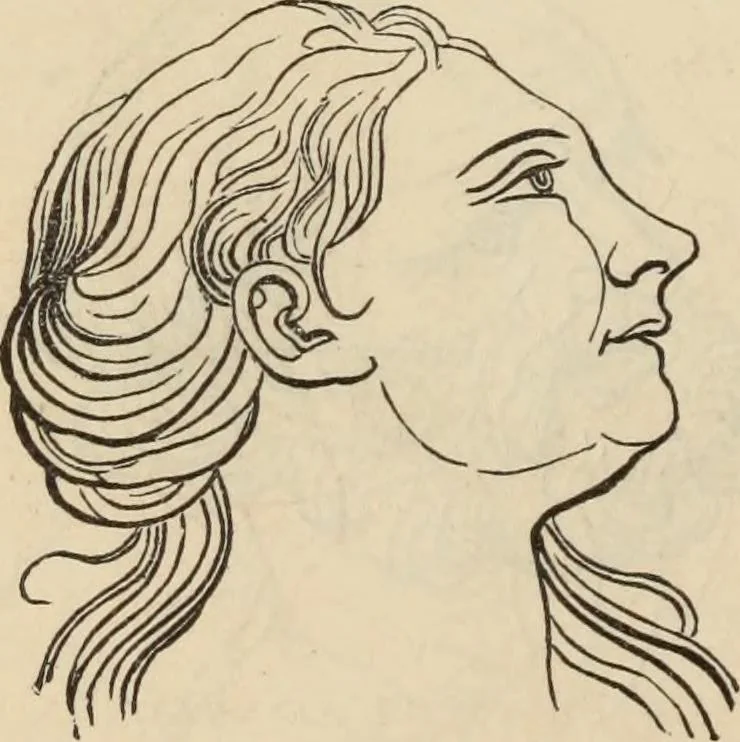 An illustration from New Physiognomy : or signs of character, as manifested through temperament and external forms, and especially in the "the human face divine.", 1889, leaf 653