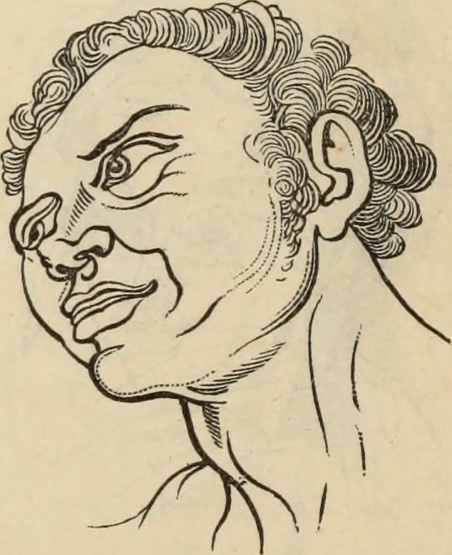 An illustration from New Physiognomy : or signs of character, as manifested through temperament and external forms, and especially in the "the human face divine.", 1889, leaf 653