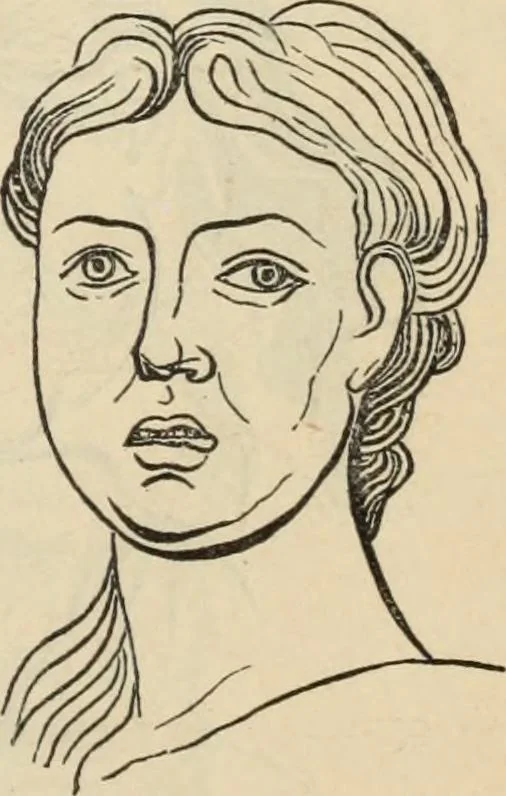An illustration from New Physiognomy : or signs of character, as manifested through temperament and external forms, and especially in the "the human face divine.", 1889, leaf 654