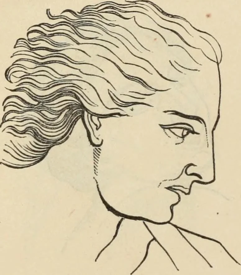 An illustration from New Physiognomy : or signs of character, as manifested through temperament and external forms, and especially in the "the human face divine.", 1889, leaf 655