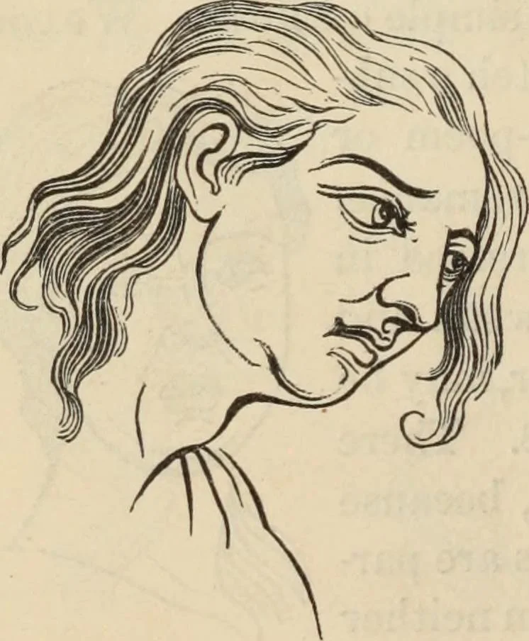 An illustration from New Physiognomy : or signs of character, as manifested through temperament and external forms, and especially in the "the human face divine.", 1889, leaf 655