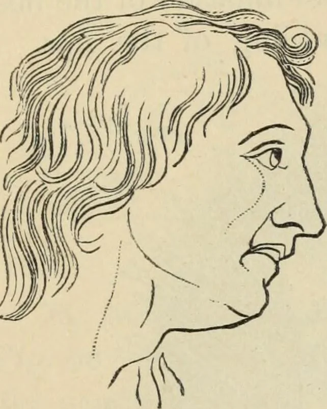 An illustration from New Physiognomy : or signs of character, as manifested through temperament and external forms, and especially in the "the human face divine.", 1889, leaf 656