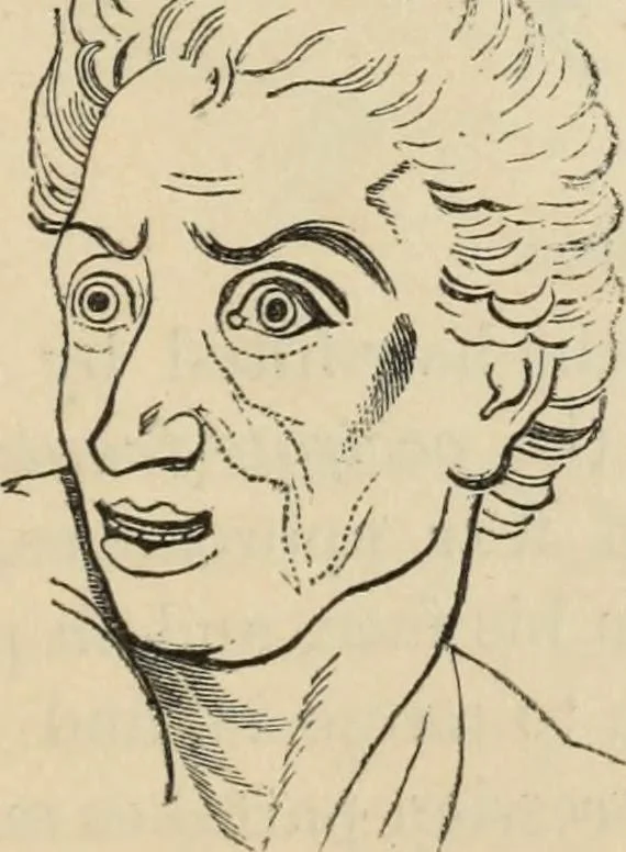 An illustration from New Physiognomy : or signs of character, as manifested through temperament and external forms, and especially in the "the human face divine.", 1889, leaf 656