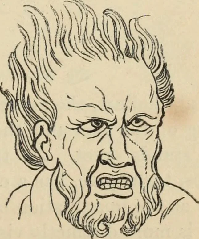 An illustration from New Physiognomy : or signs of character, as manifested through temperament and external forms, and especially in the "the human face divine.", 1889, leaf 656