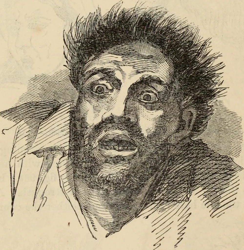 An illustration from New Physiognomy : or signs of character, as manifested through temperament and external forms, and especially in the "the human face divine.", 1889, leaf 657