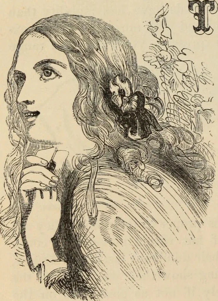 An illustration from New Physiognomy : or signs of character, as manifested through temperament and external forms, and especially in the "the human face divine.", 1889, leaf 659