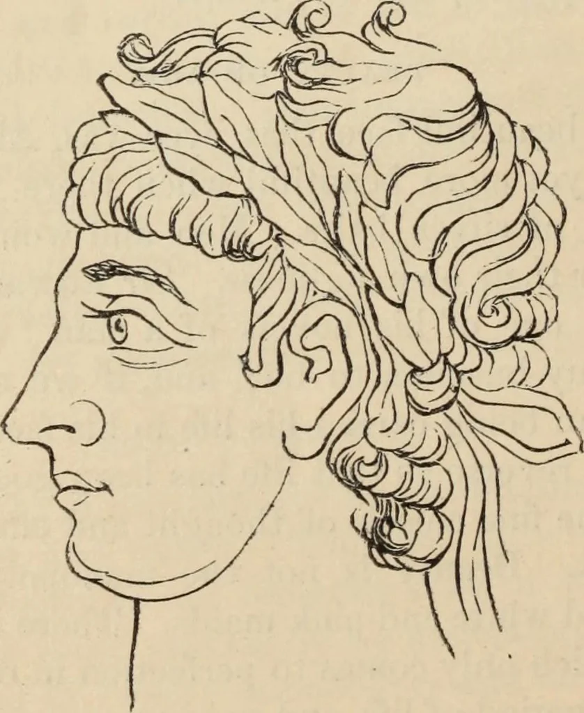 An illustration from New Physiognomy : or signs of character, as manifested through temperament and external forms, and especially in the "the human face divine.", 1889, leaf 667