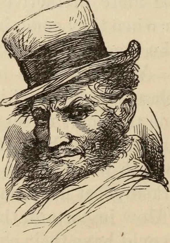 An illustration from New Physiognomy : or signs of character, as manifested through temperament and external forms, and especially in the "the human face divine.", 1889, leaf 671