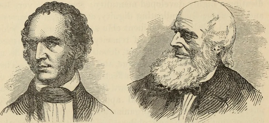 An illustration from New Physiognomy : or signs of character, as manifested through temperament and external forms, and especially in the "the human face divine.", 1889, leaf 675